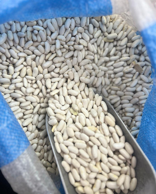 Beans image 0
